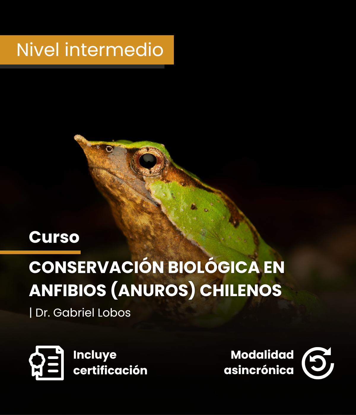 Conservación biológica en anfibios (anuros) chilenos