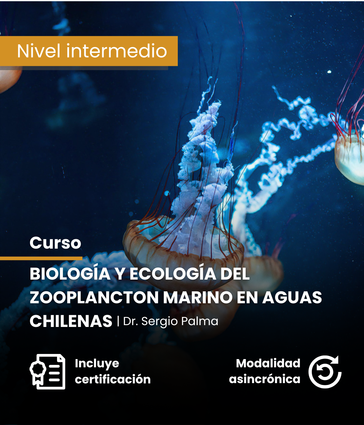 Biología y ecología del zooplancton marino de aguas chilenas